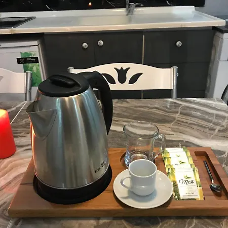 Royalstar Taksim Family Apartment Istanbul